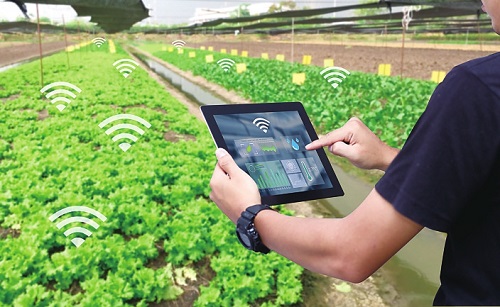 海南5G网络助力餐饮业数字化转型与发展：技术革新与消费体验探析  第7张