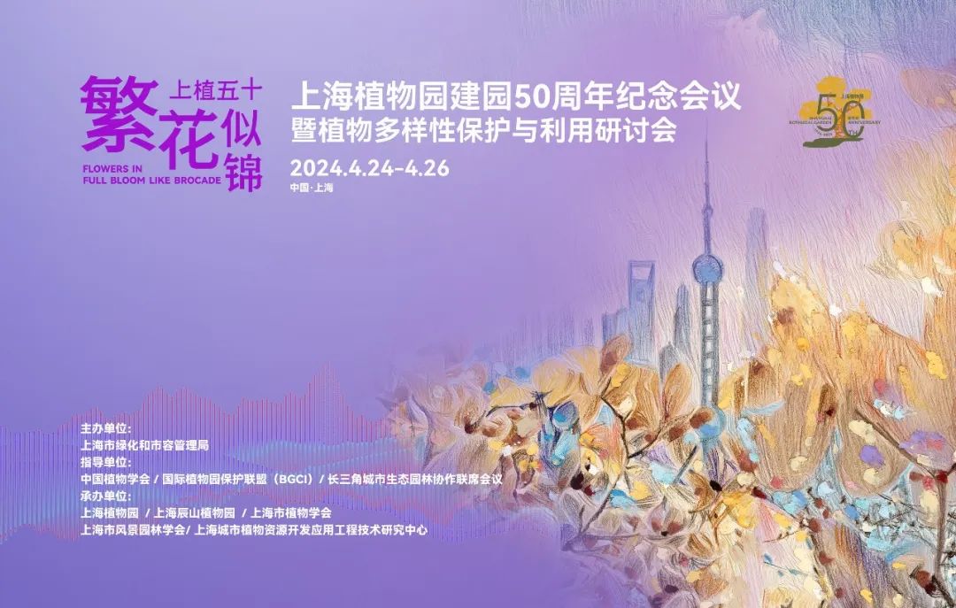 深圳5G网络：现状、发展趋势与全面影响分析  第3张