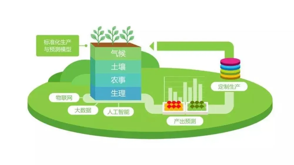 深度分析：农村5G网络构建对信息化进程的影响与推动策略  第2张