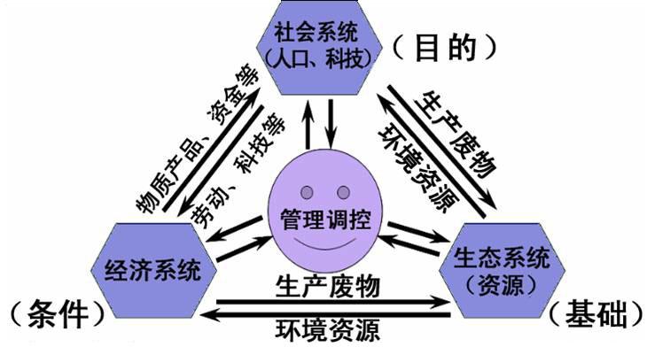 GT7301G 显卡：提升网络浏览体验的绝佳选择  第2张