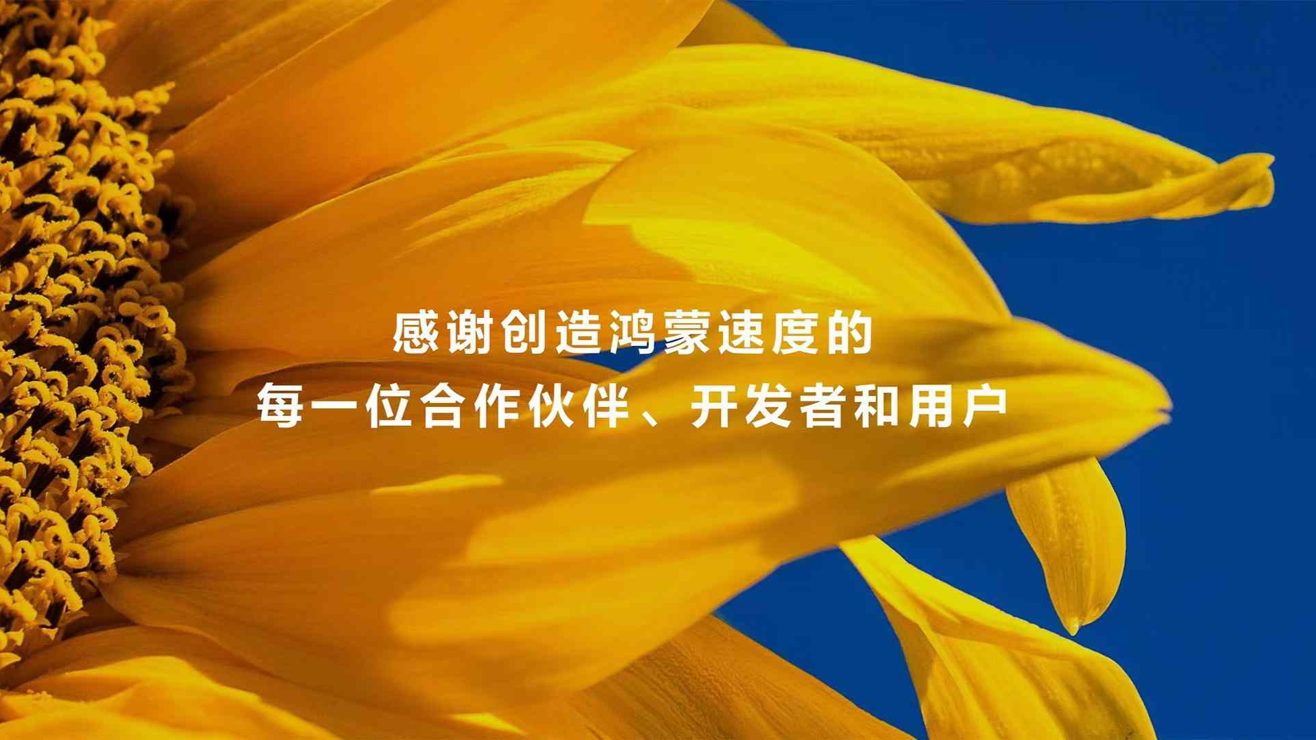 安卓系统桌面文件存放位置解析及相关知识点分享  第3张