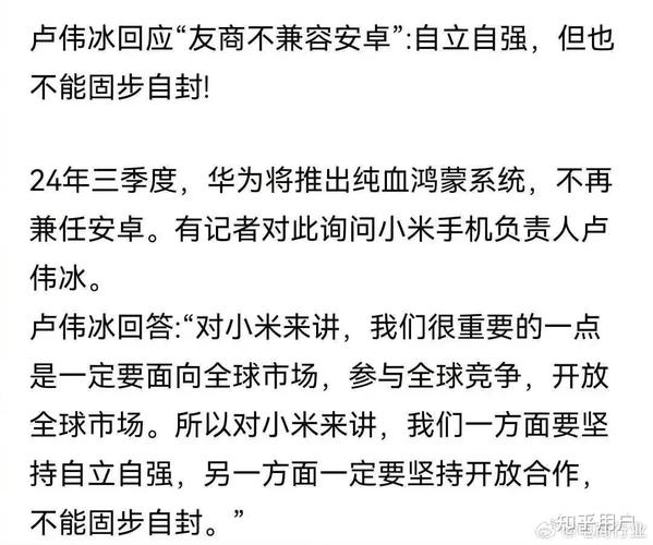 小米总裁卢伟冰WISE大会演讲：品牌高端化之路，小米如何破局？