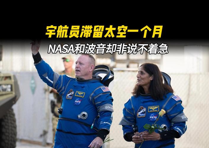 宇航员意外滞留太空数月，圣诞节装饰品从何而来？NASA揭秘背后真相  第6张