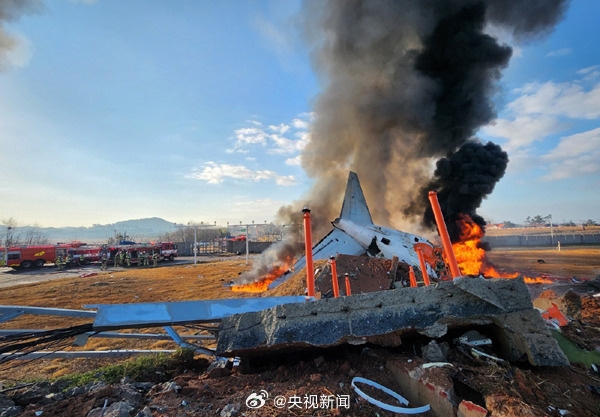 济州航空7C2216号航班坠毁，179人遇难，事故原因竟是机组疲劳和鸟击？  第7张