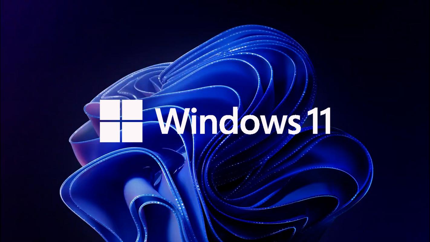 Windows 11 24H2网络连接问题持续发酵，用户如何应对这一棘手难题？  第7张