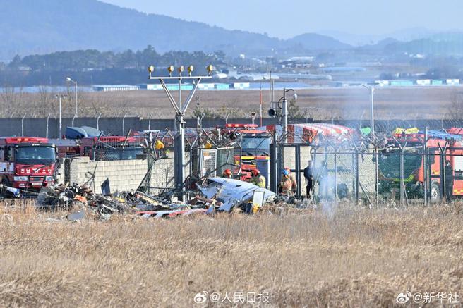 惊险瞬间！济州航空7C2216航班与鸟群相撞，机长发出Mayday求救信号，最终机身着陆爆炸起火