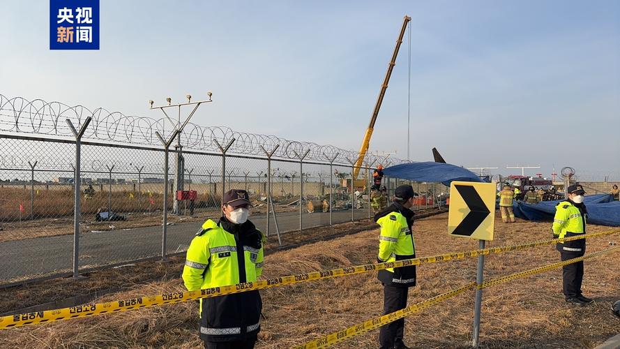 惊险瞬间！济州航空7C2216航班与鸟群相撞，机长发出Mayday求救信号，最终机身着陆爆炸起火  第2张