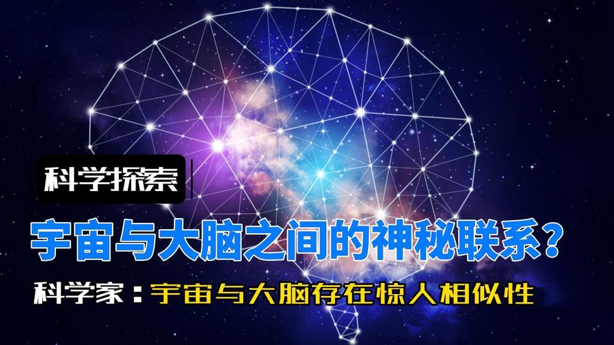 惊！人类思维速度仅10bps，科学家如何量化这一惊人发现？  第6张