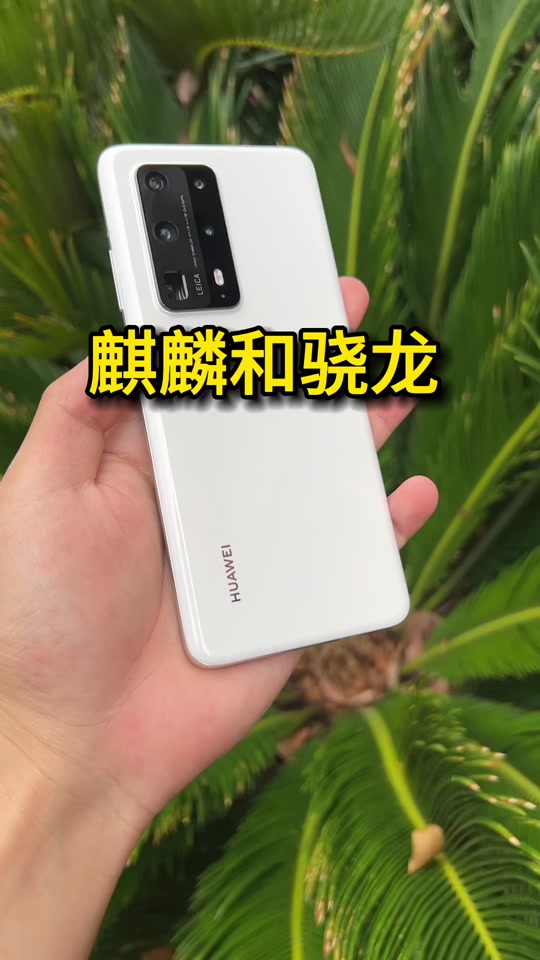 5G手机处理器大揭秘：骁龙888 VS 天玑1000 Plus，谁更胜一筹？  第4张