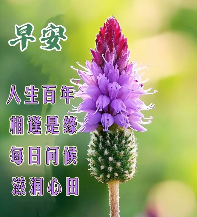 ddr指什么 挑战你的音乐节拍！全球疯狂迷恋的DDR舞蹈游戏  第2张