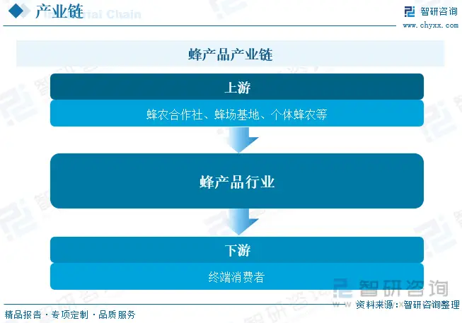 DDR3与DDR5显卡内存性能对比及未来趋势预测：技术特性与应用场景详解  第7张