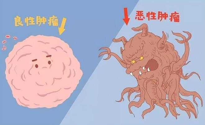 华为操作系统：技术与情感的和谐奏鸣，超越一般品牌的创新与抗争  第1张