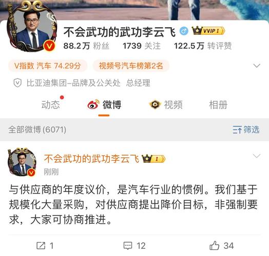 比亚迪要求供应商降价10%？年度议价风波引发行业热议  第11张