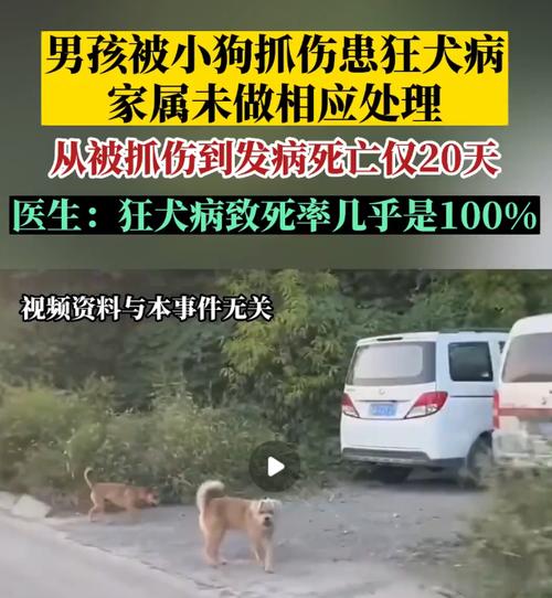 长沙县狂犬病死亡病例引发关注，家养狗成主要传播源，你家宠物安全吗？  第6张