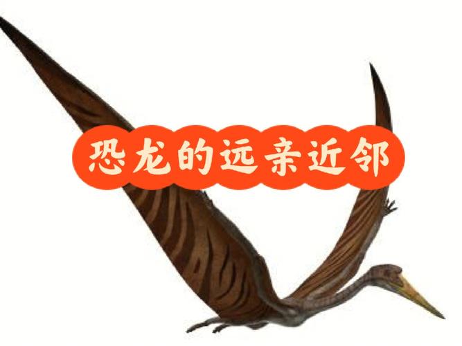 揭秘250公斤风神翼龙如何起飞：从蝙蝠到鸟类的飞行进化之谜  第13张