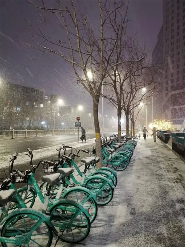 显微镜下的奇迹：十二瓣雪花竟比冰雪奇缘还要美，你猜对了吗？  第14张