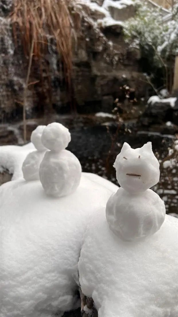 显微镜下的奇迹：十二瓣雪花竟比冰雪奇缘还要美，你猜对了吗？  第16张