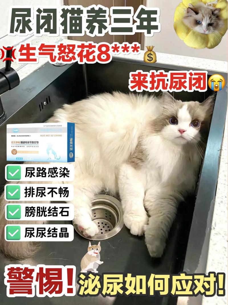 深夜搜索大揭秘：从猫奴到考试er，这些奇葩问题你绝对想不到  第12张