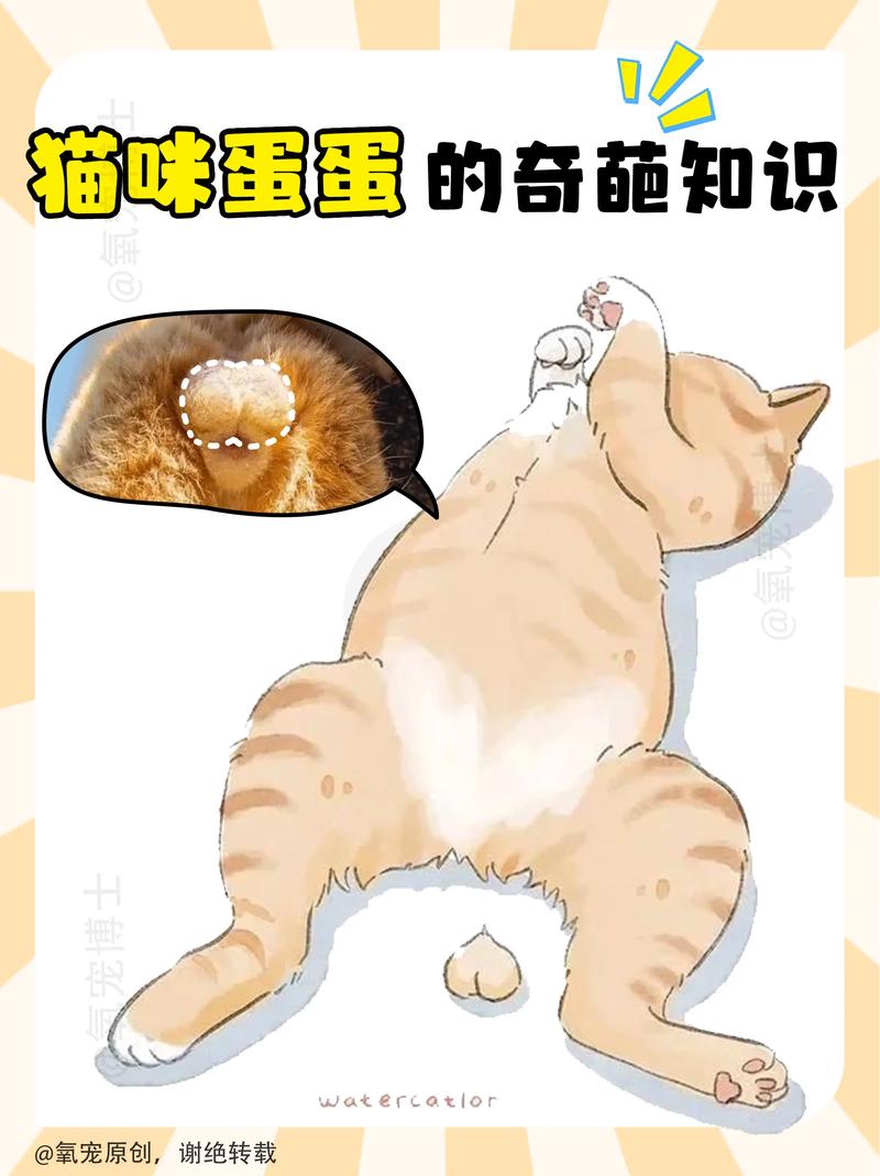 深夜搜索大揭秘：从猫奴到考试er，这些奇葩问题你绝对想不到  第13张