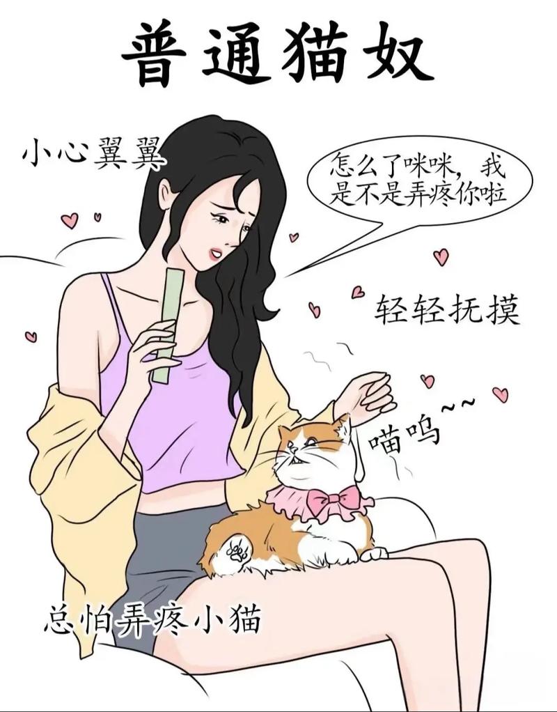 深夜搜索大揭秘：从猫奴到考试er，这些奇葩问题你绝对想不到  第15张