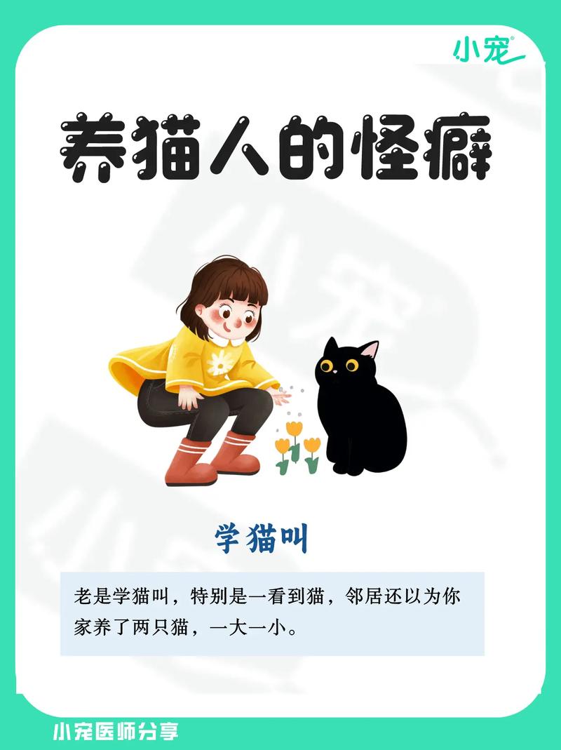 深夜搜索大揭秘：从猫奴到考试er，这些奇葩问题你绝对想不到  第4张