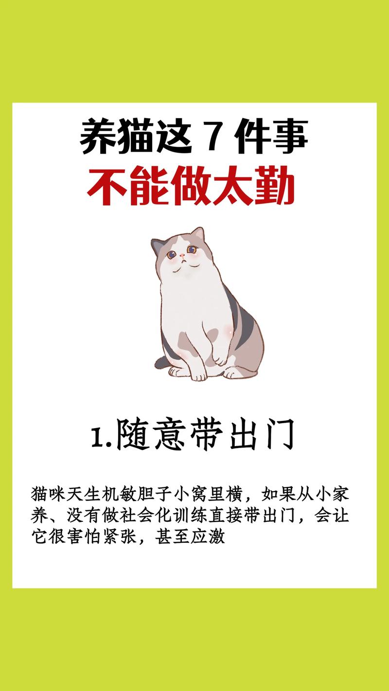 深夜搜索大揭秘：从猫奴到考试er，这些奇葩问题你绝对想不到  第6张