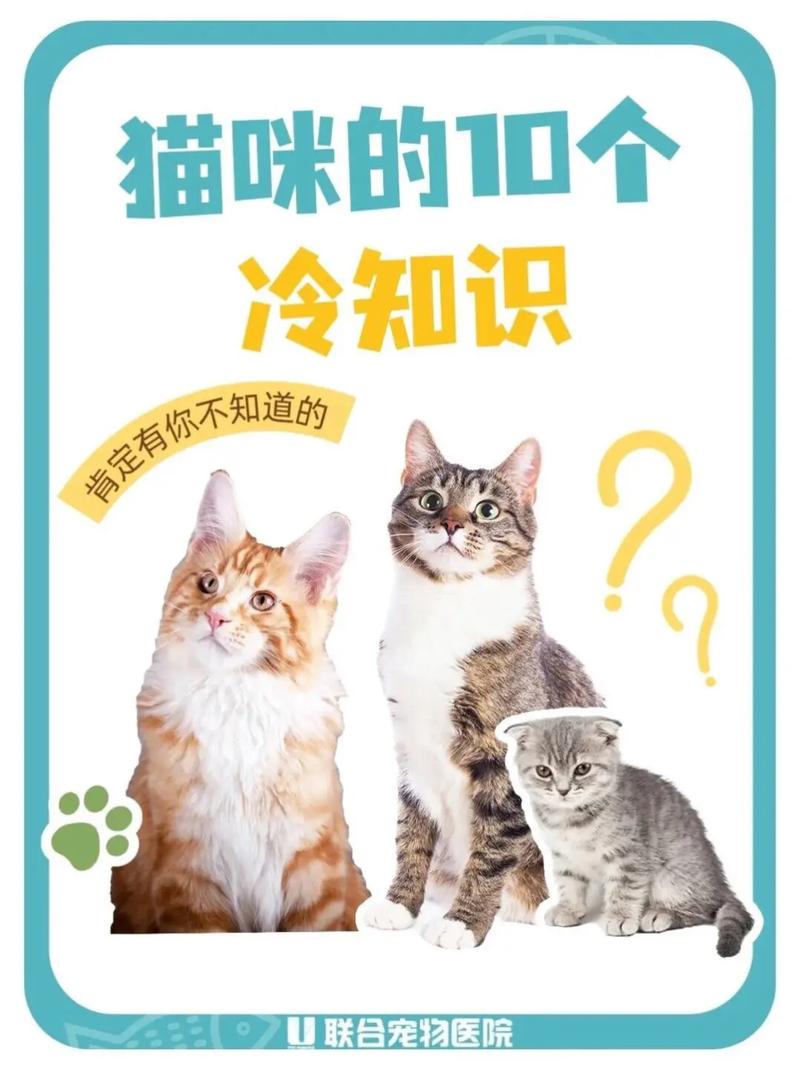 深夜搜索大揭秘：从猫奴到考试er，这些奇葩问题你绝对想不到  第8张