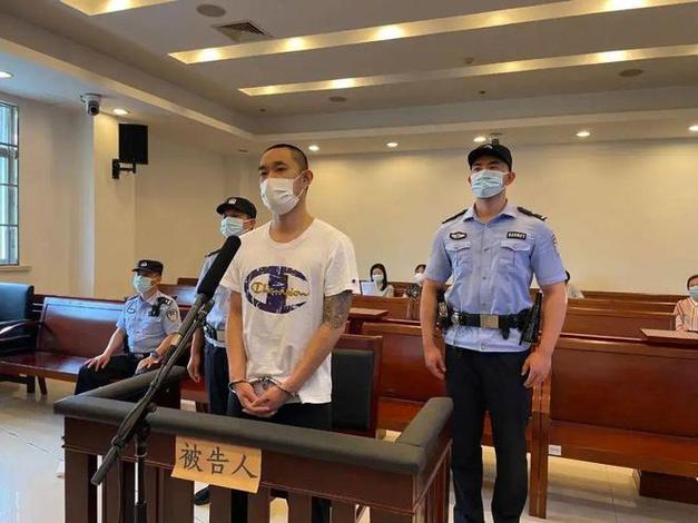 理想MEGA车内摄像头谣言案尘埃落定，涉事男子被判刑7个月  第2张