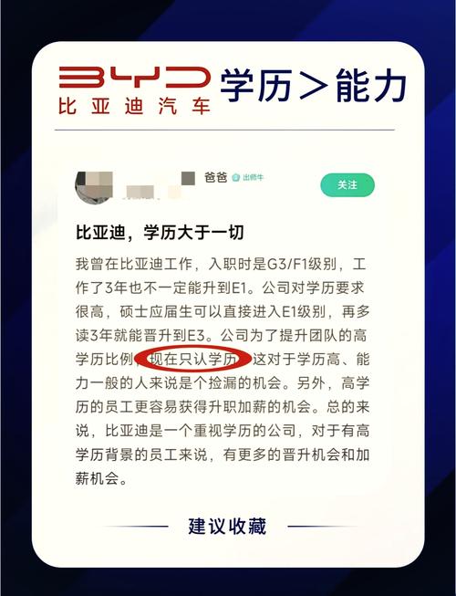 从20人到200人：比亚迪如何通过应届生文化打造行业巨头？  第9张