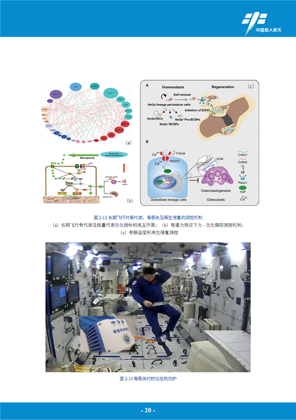 中国空间站首次公布科学研究与应用进展报告，揭秘32个研究主题的宏伟蓝图  第11张