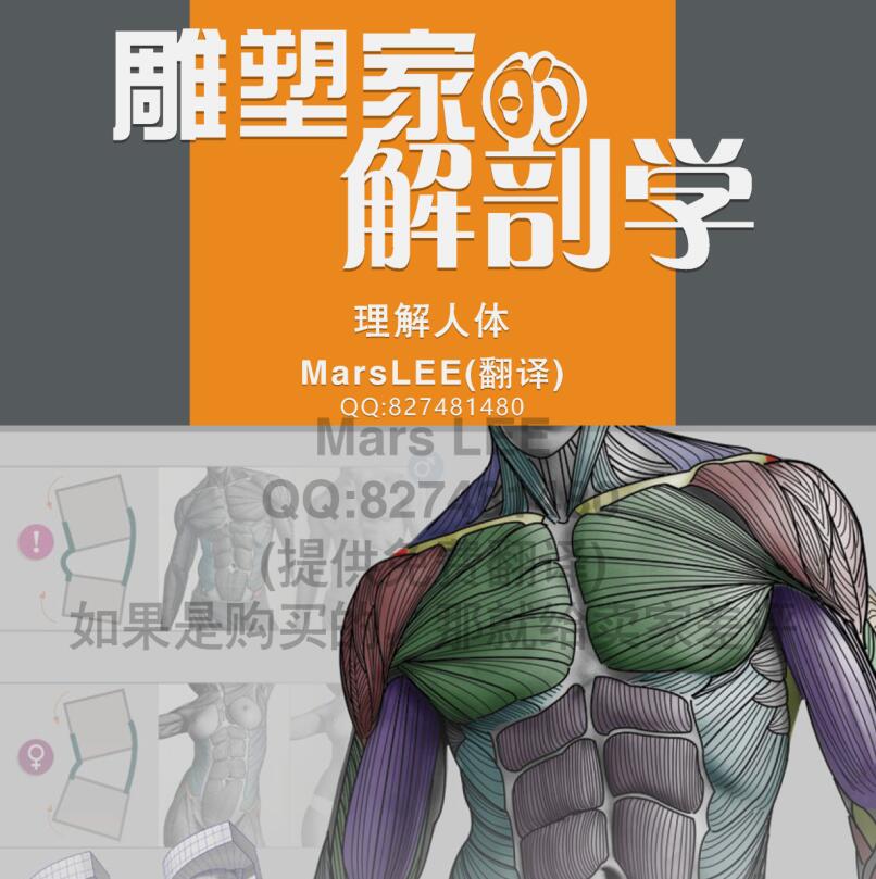 揭秘3D肌肉系统安卓版：全方位探索人体奥秘，助你成为健身达人  第2张