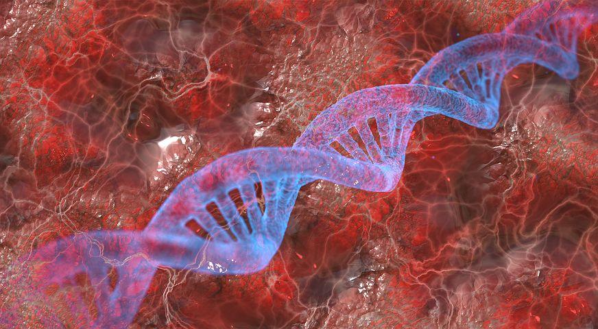 深入探讨 ddr 基因变异：对生物发育和生存机制的影响  第5张