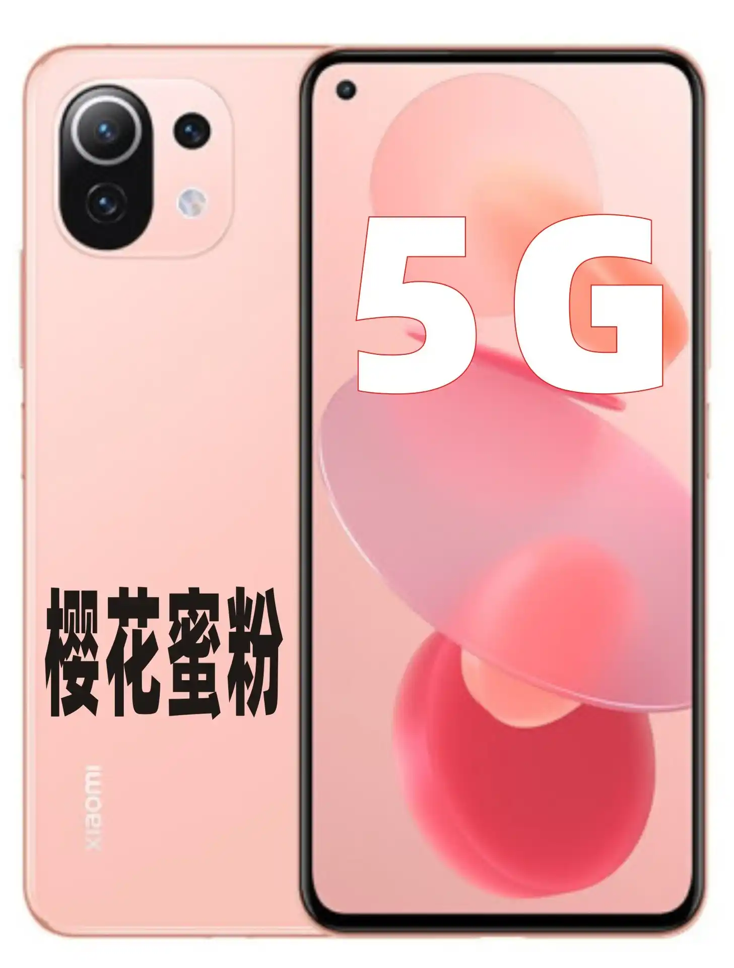 5G 手机市场琳琅满目，性能强劲款式备受瞩目