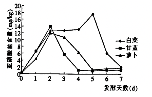 泡菜是健康还是致癌？揭秘酸萝卜、酸豇豆背后的真相与制作过程  第7张