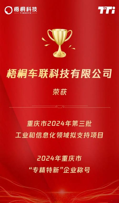 TINNOVE梧桐科技荣获2024年度汽车智能座舱解决方案奖，引领行业创新与用户体验提升  第10张