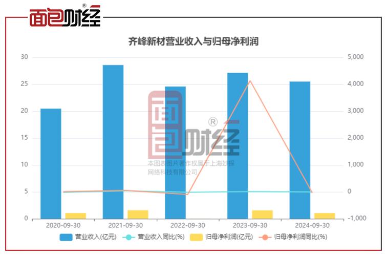 2024年去哪儿业绩逆势增长，2025年将迎来20周年，低价+服务双升级  第4张