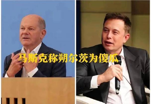 马斯克力挺德国选择党，为何专家称其治疗方法是致命错误？  第5张