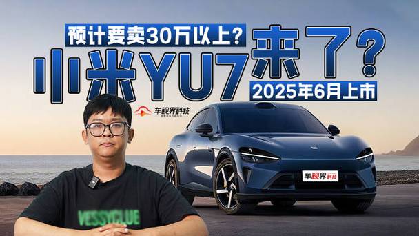 2025年汽车大战一触即发，小米YU7能否成为最大赢家？  第14张