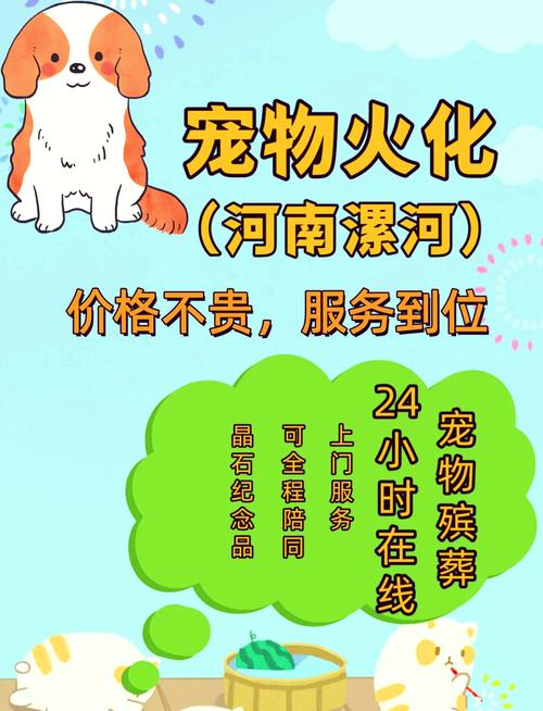 宠物殡葬业疯狂崛起：从3500元到9999元，你愿意为爱宠花多少钱？  第3张