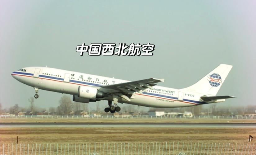 济州航空空难179人遇难，航空安全科普解读为何必须坚守科学性？