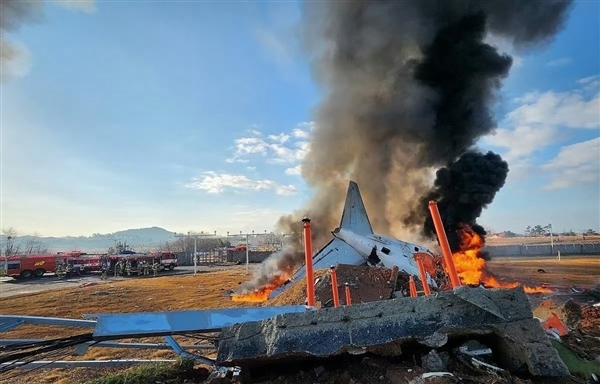 济州航空空难179人遇难，航空安全科普解读为何必须坚守科学性？  第8张