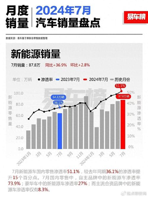 2024年中国车市大洗牌：35家品牌倒下，烂尾车现象是否会成为常态？  第7张