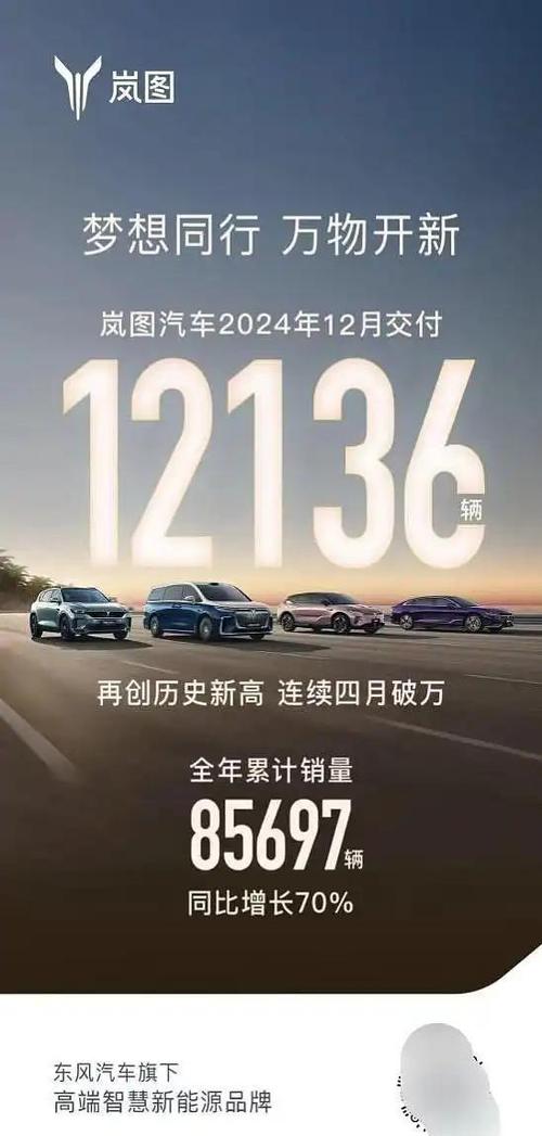 岚图汽车销量暴涨152%！2025年全面智能化，你准备好了吗？  第11张