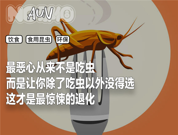 你敢相信吗？2025年起，你的面包里可能含有3%的黄粉虫  第2张