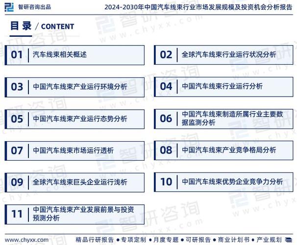 2024年汽车可靠性报告出炉：斯巴鲁稳居第一，电动汽车数量创历史新高  第3张