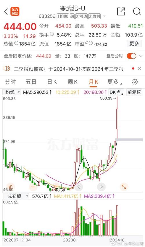 寒武纪股价暴涨387%成股王，背后却隐藏着55亿亏损的惊人真相  第9张