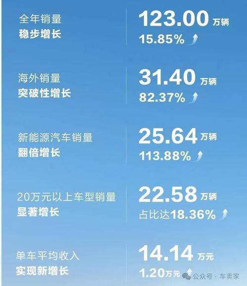 长城汽车销量为何停滞不前？2024年123.33万辆的背后真相揭秘  第6张