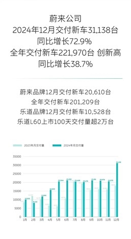 蔚来汽车2024年销量飙升38.7%，纯电高端市场如何逆袭？  第2张