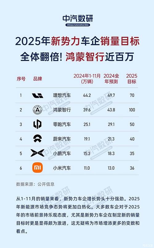 2024年造车新势力销量大揭秘：只有这三家车企完成了年度目标  第12张