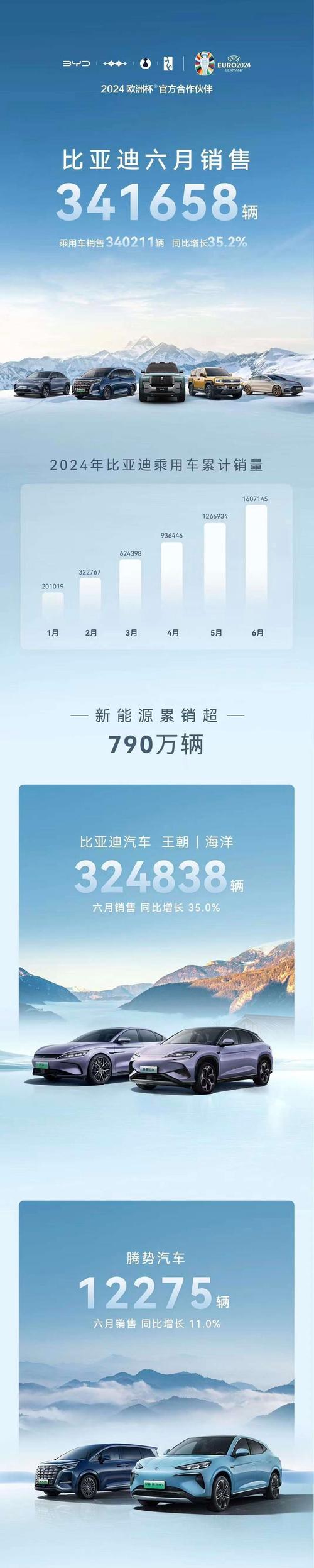 2024年汽车市场大洗牌！比亚迪狂卖427万辆，理想为何仅完成一半目标？  第11张